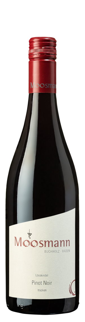 25_PinotNoir-loesskindle 2021er Pinot Noir trocken "Lösskindel"
